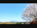ある日の桜島（その１３４）＜ウン十年ぶりに小学校の通学路を歩いてみた（後編）＞
