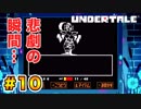 前情報なしで【Undertale_switch版】実況 part.10