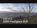 【10分耐久】琵琶湖の波音【3Dio FreeSpace】