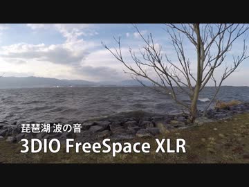 【10分耐久】琵琶湖の波音【3Dio FreeSpace】