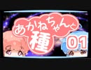 【ぼいろ】あかねちゃんと種 01日目【じっきょー】