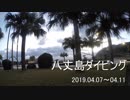 八丈島ダイビング～八重根アーチとクマノミ＆ユウゼン～