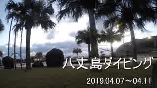 八丈島ダイビング～八重根アーチとクマノミ＆ユウゼン～