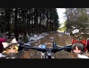 おっさんとMTBのある休日46