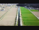 【#2 DJI Mavic Pro】3kmも続く桜並木を空撮！ 4Kドローン空撮