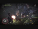 【Monster Hunter World】狩人と猫の世界を斜め上に楽しむ！Part58【実況】