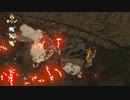依頼を受けて、ハイラル城の草にリザルを入れようとしてみた