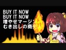 【東方メロコアアレンジ】BURN IT UP!! （仮歌ラフミックス版ver）［原曲：判読眼のビブロフィリア］