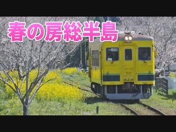 【乗ってみた】“菜の花”と桜に囲まれて＠いすみ鉄道