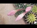 (動画素材)Saboten Power[サボテンxBrain Power]