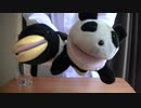 本気でダイエットチャレンジ！出来なかったら罰ゲーム！！最終夜