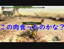 [実況]しょうもない三人のハンター生活　40日目[MH3G]