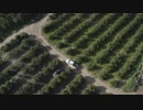 4X4-in-Vinyard　久保田雅一郎