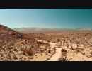 California-Desert　久保田雅一郎