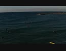 The-Surfers　＠　久保田雅一郎
