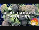 月一ゆっくり野菜栽培 2019年4月