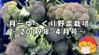 月一ゆっくり野菜栽培 2019年4月