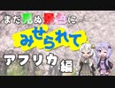 まだ見ぬ景色にみせられて。-アフリカ編-【ゆづきず車載】