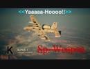Ace Combat 7 Multiplayer44  バトルロイヤル  A-10C