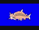 シャケと化したカラカルBB.gomakuso
