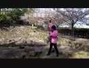 【駒音こはる】が『桜前線異常ナシ』を踊りました【葉桜の下で】