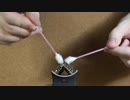 ASMR - マイクスクラッチング、綿棒
