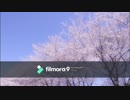 桜が咲くころには