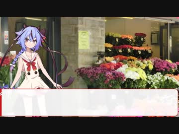【劇場】4/23花屋鳴花【ハナミズキ】