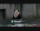 大切な人よ