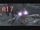 Bloodborne 最高難易度7周目 本編＆DLC全ボス撃破 全ED制覇 実況プレイ #17