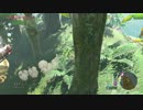 【実況】完全初見のゼルダの伝説ブレスオブザワイルドpart93
