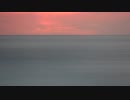 Pexels Videos 1695733　金本朝樹