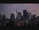 Pexels Videos 2019781　金本朝樹