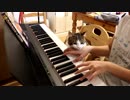 猫ふんじゃったをぬこに聞いてもらった。