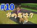 【DQB2】むっつりのドラクエビルダーズ２　part10（犬の名は？）