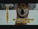 【柴犬ジロー】柴犬と田舎暮らし【Shiba Inu】