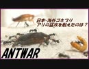 ついに決着！日本ゴキブリ・海外ゴキブリ・ミルワーム、最後までアリの猛攻に耐えたのは・・・。【後編】