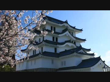 街の桜(2019年)