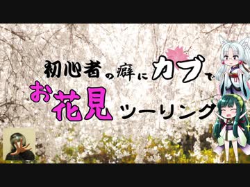 【ずんタコ車載】初心者の癖にカブでお花見ツーリング A編