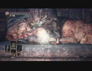 【実況】　ダークソウル３　聖職者!?冒険譚185章