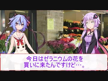 【劇場】4/24花屋鳴花【ゼラニウム】