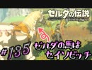 新作ゼルダを風タクしかやったことないうp主がプレイしてしまった part135