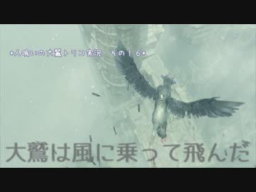【君と紡ぐ神話】人喰いの大鷲トリコ実況してみました【その１６】