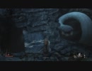 【SEKIRO：隻狼】火薬庫のちょび髭による忍日誌Part22【探索：落ち谷】