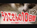 うりこさんの10日間 - 2019#9