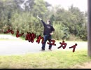 【魔桜狂夜】ハレ晴れユカイ踊ってみた