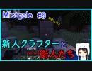 【Minecraft】新人クラフターと『霧と疾風の要塞都市』#9【Mistgale】