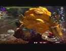 【初見MH】歴代モンスター達と戦い病気とも闘うRPG【XX】part13