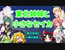 東北姉妹と小さなセイカ 日常編「夜の学校と人魂の秘密」【VOICEROID劇場】