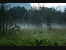 Chopin - Nocturne No. 9 Op. 32-1